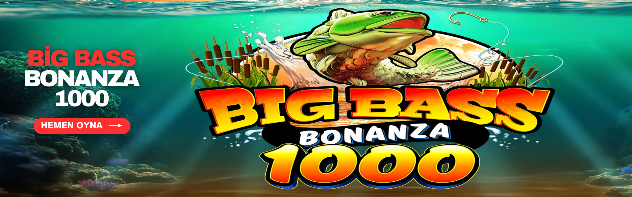 Bonanza 1000